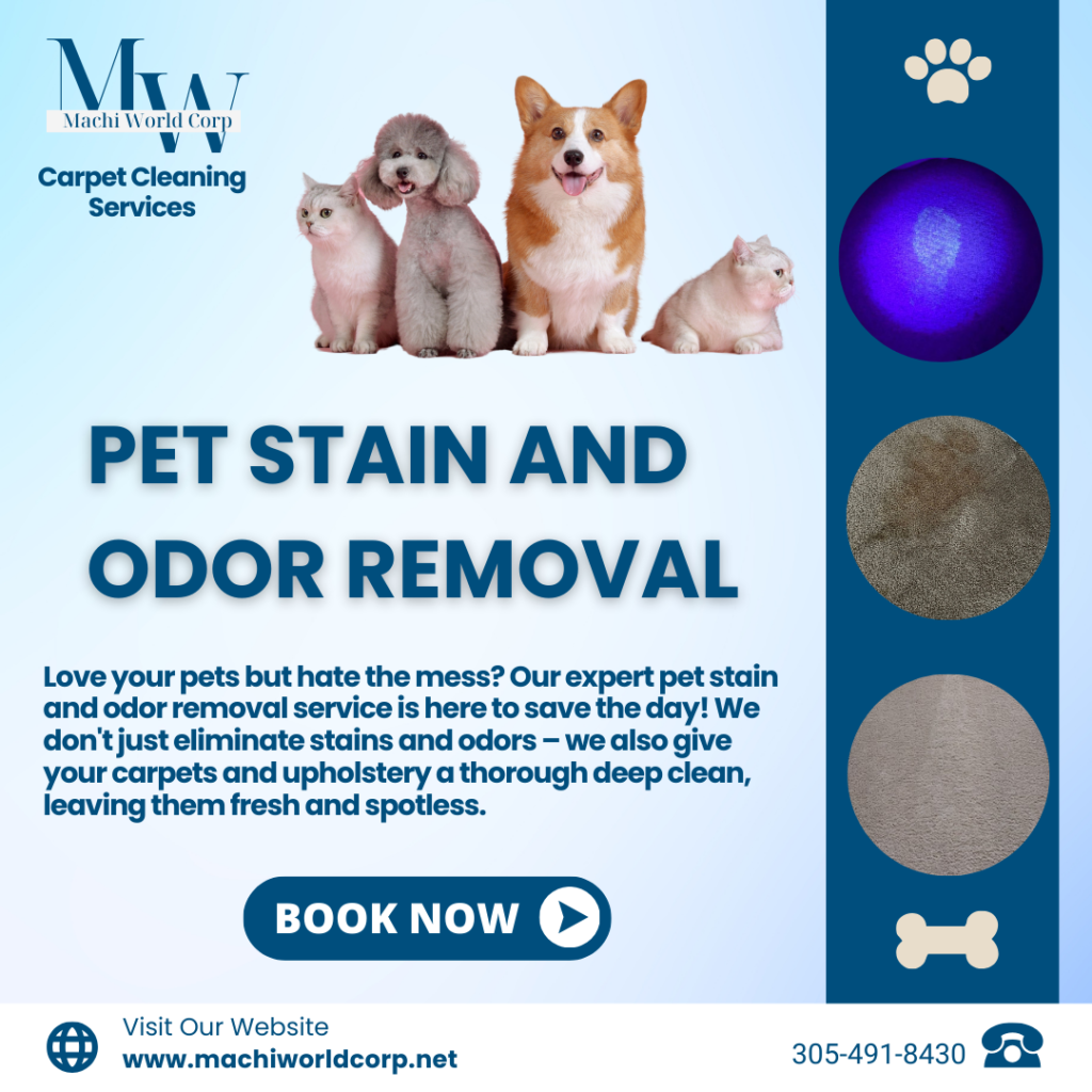 pet stain odor removal miami