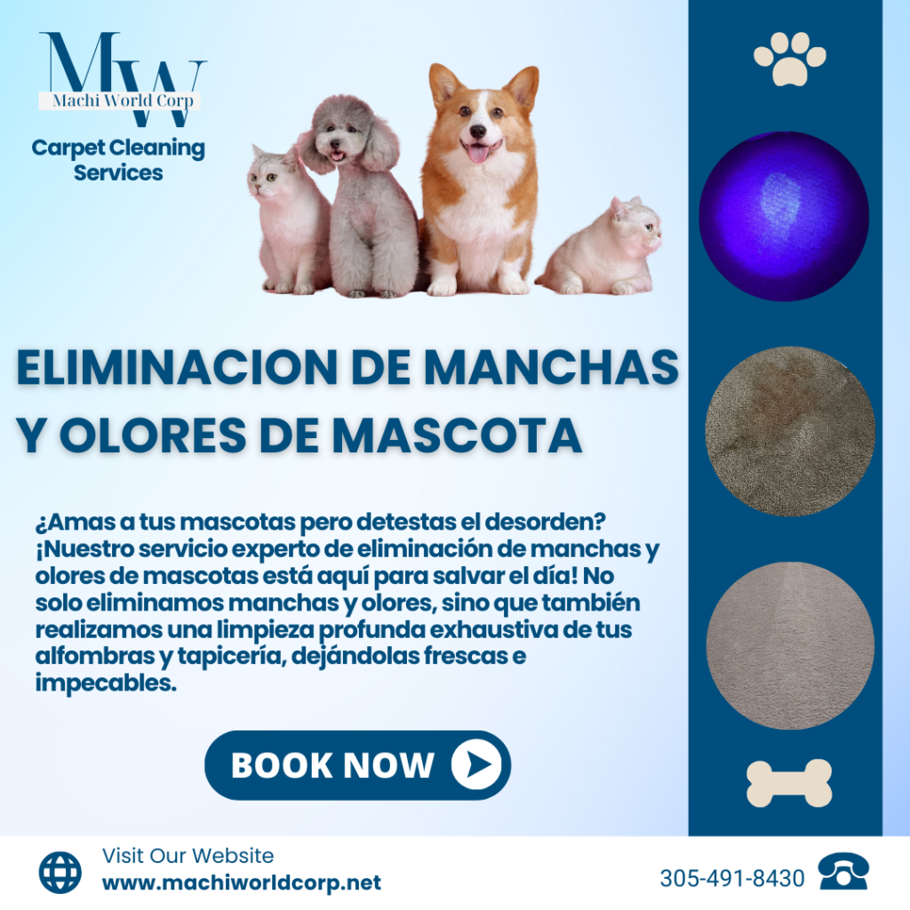 eliminacion de manchas y olores de mascotas en miami