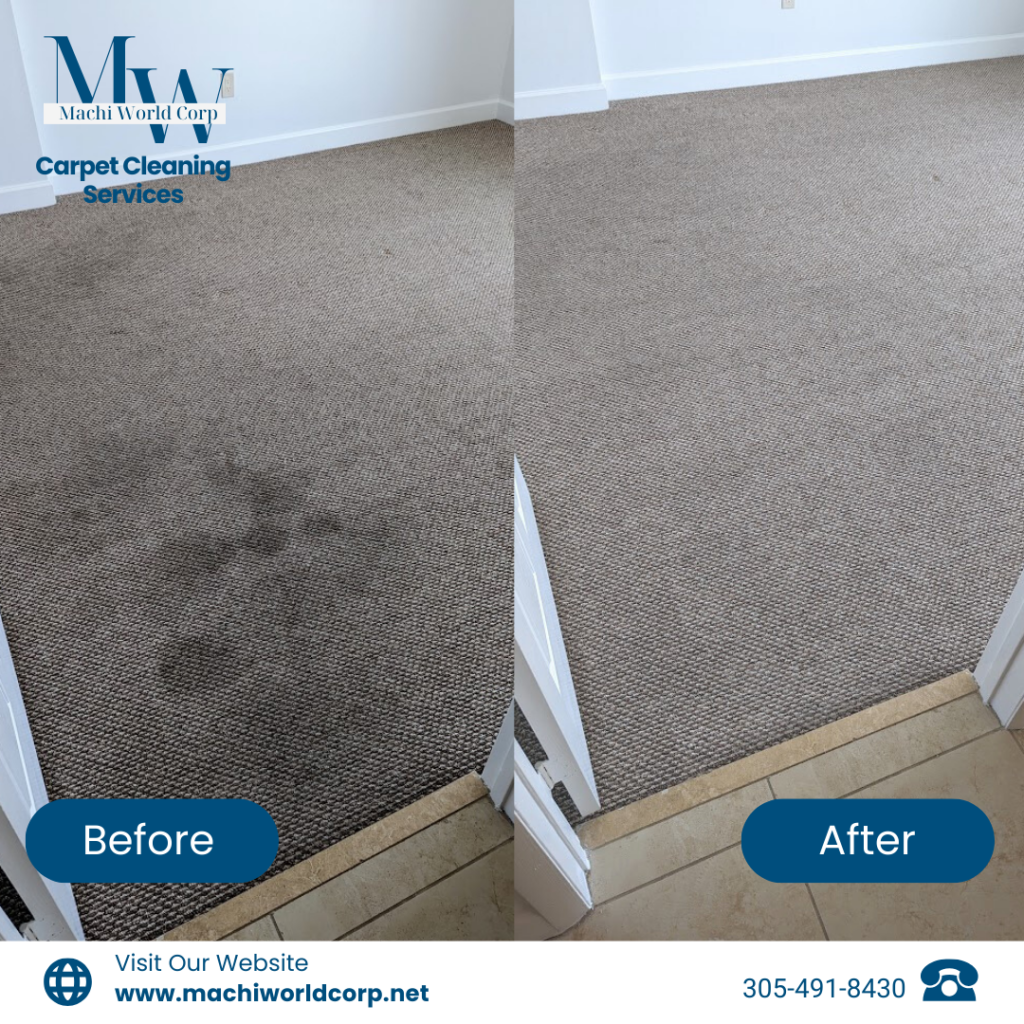 carpet cleaning miami