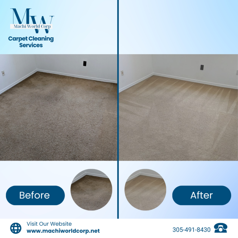 miami carpet cleaner